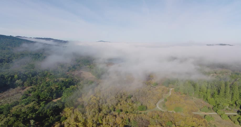 Aerial view of grass fields and wood areas partly covered with fog