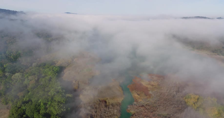 Fog settled over a river trees and vegetation on a sunny day