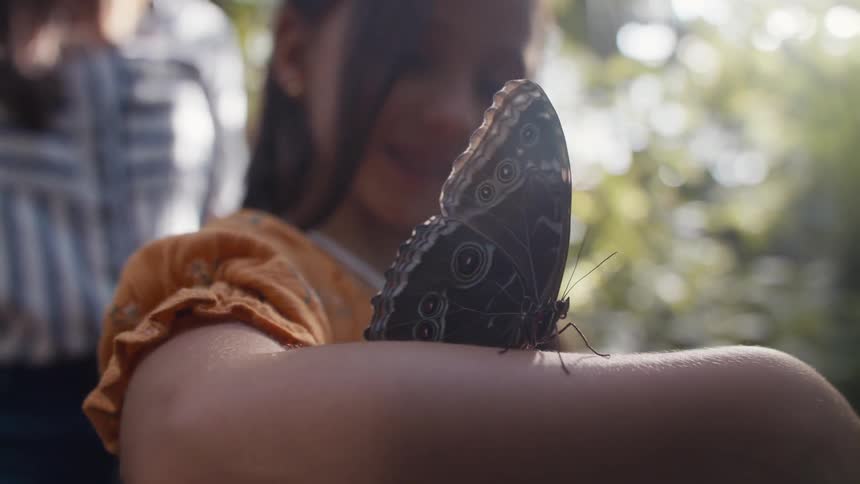 Girl on a greenhouse looks at a butterfly standing in her arm