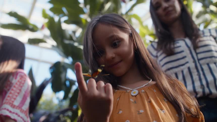 Girl looking at a butterfly in her hand