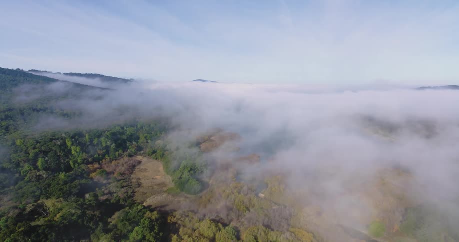 Aerial of the forest covered by clouds during the day