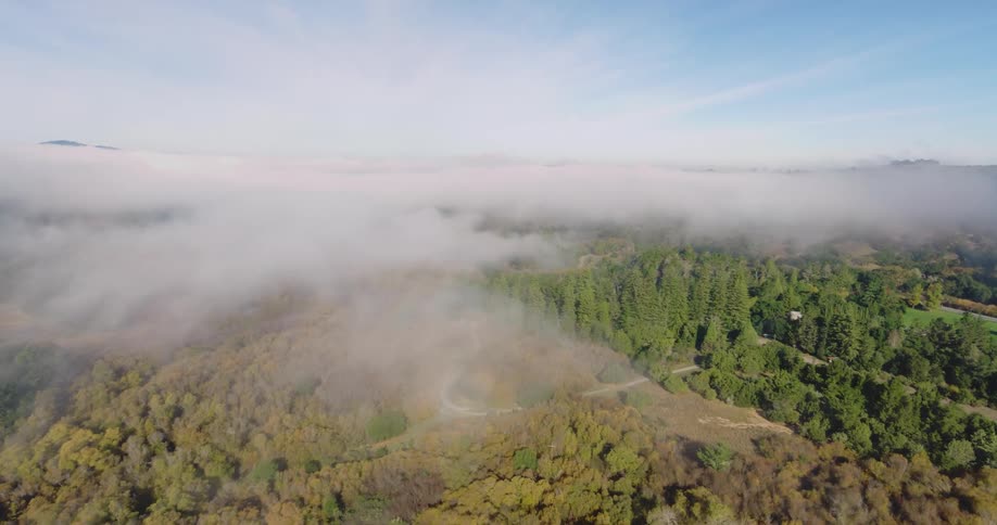 Roads wind through forest partially obscured by fog