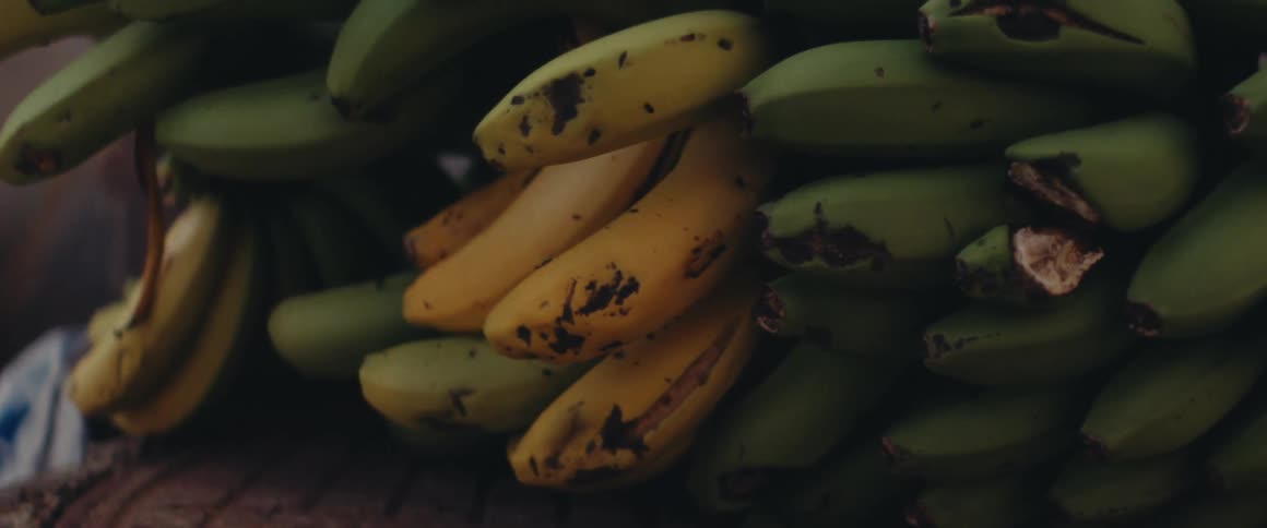 Close up of a bunch of plaintains