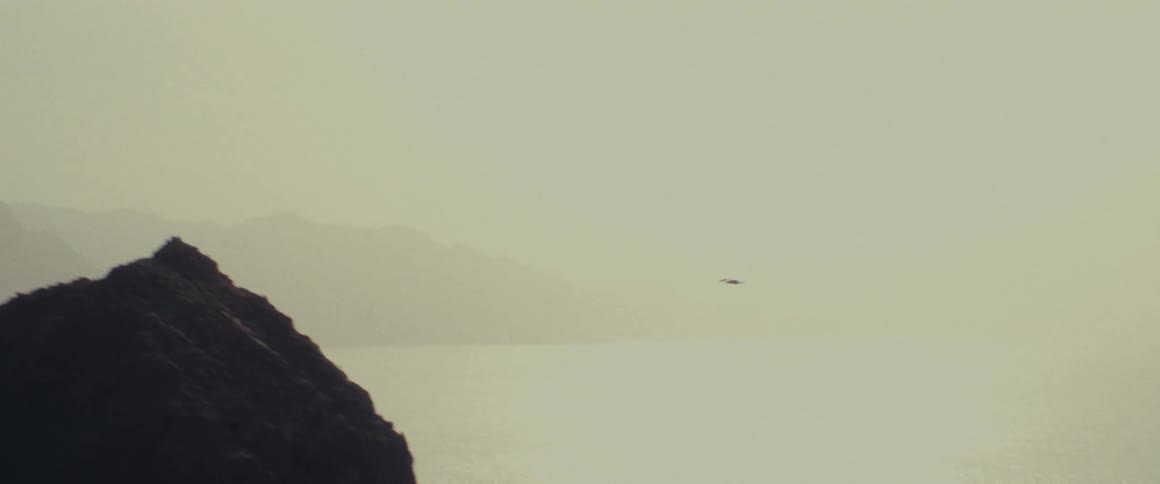 Seagull flying over the ocean next to the mountains