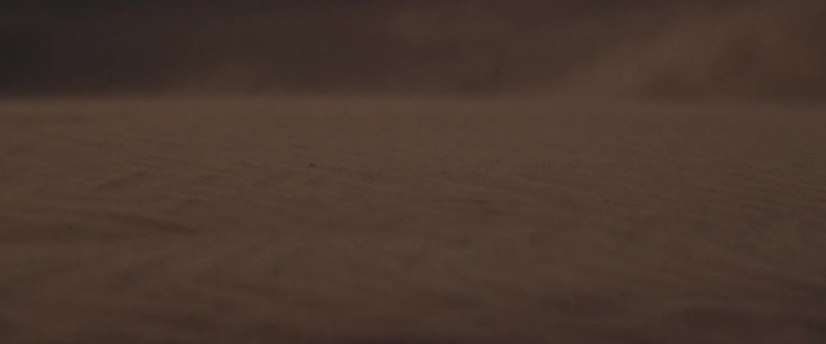 Wind blows over the sand dunes in the desert