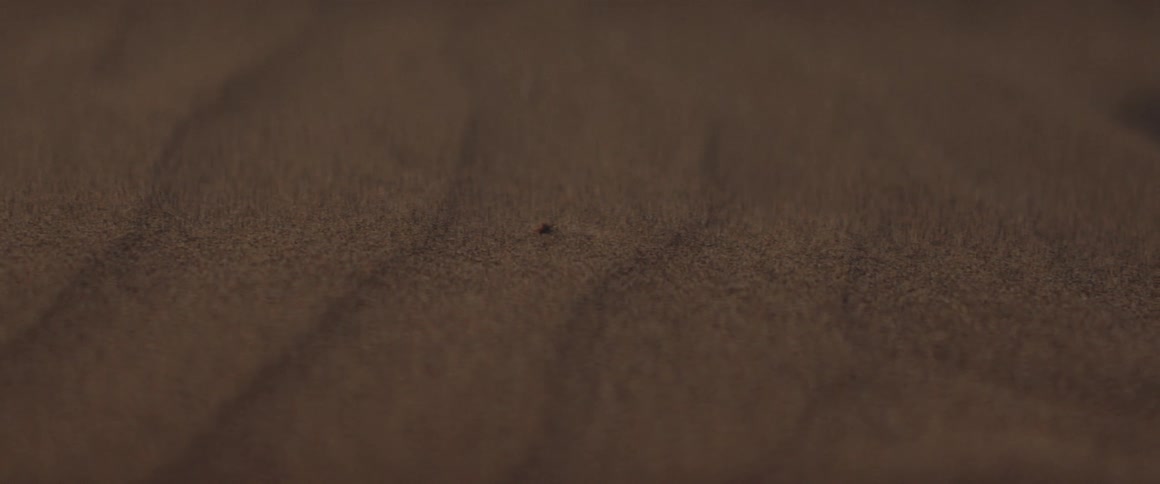Close up of sandy beach