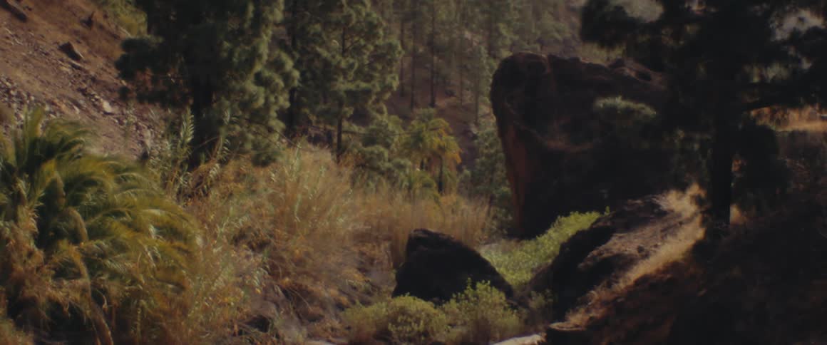 A small valley in the middle of two columns full of rocks and trees
