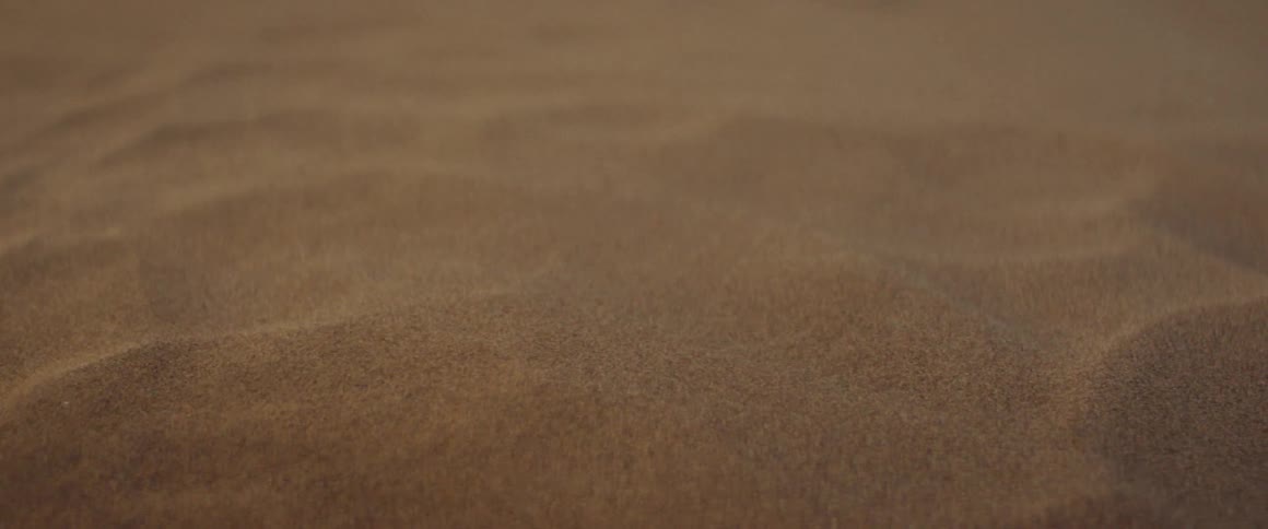 Wind blows grains of sand into the air