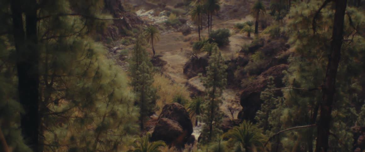 The hills have trees on them