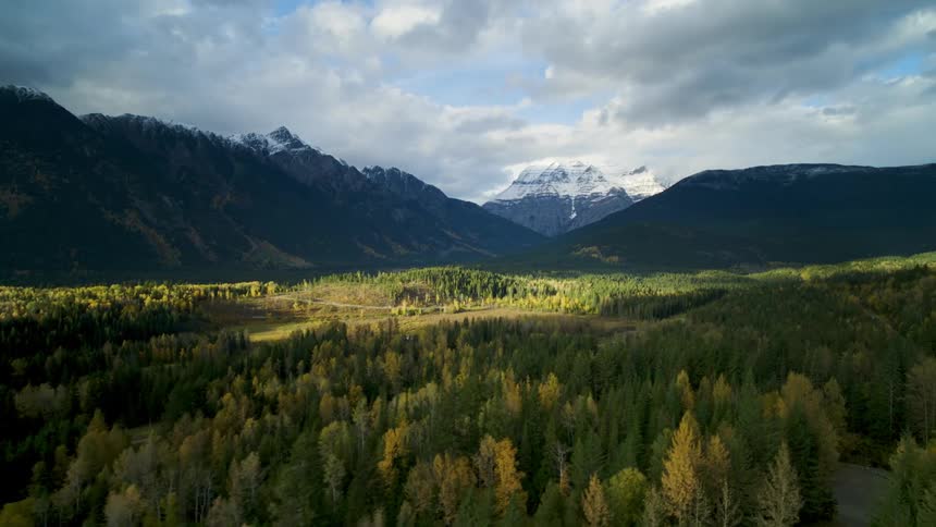 A forest of green and yellow trees sit at the base of snowcapped mountains