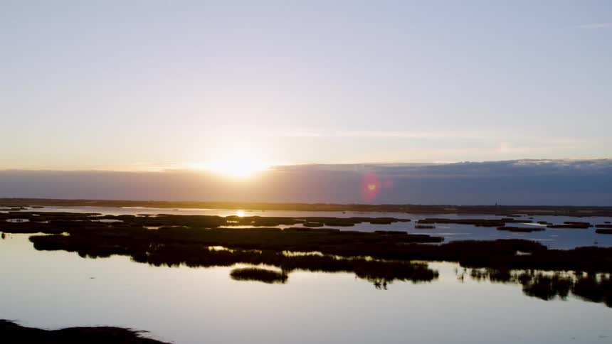 The sun is rising on the shore