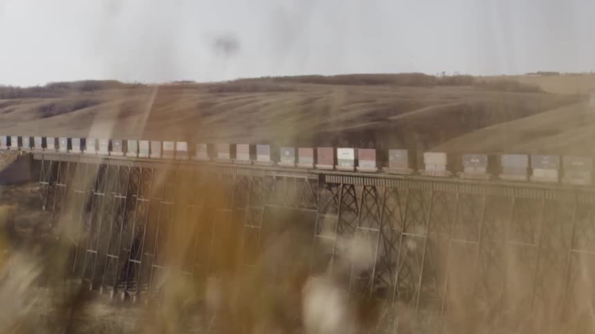 Plants move in the breeze as a cargo train crosses a trestle bridge