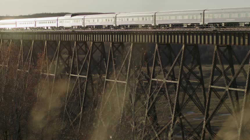Plants move in the breeze as a passenger train crosses a trestle bridge