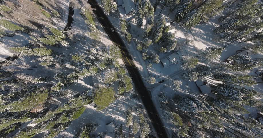 Cars travel on a road through a snow covered forested neighborhood