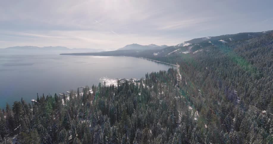 An aerial shot of a forest on the coast by the sea in winter