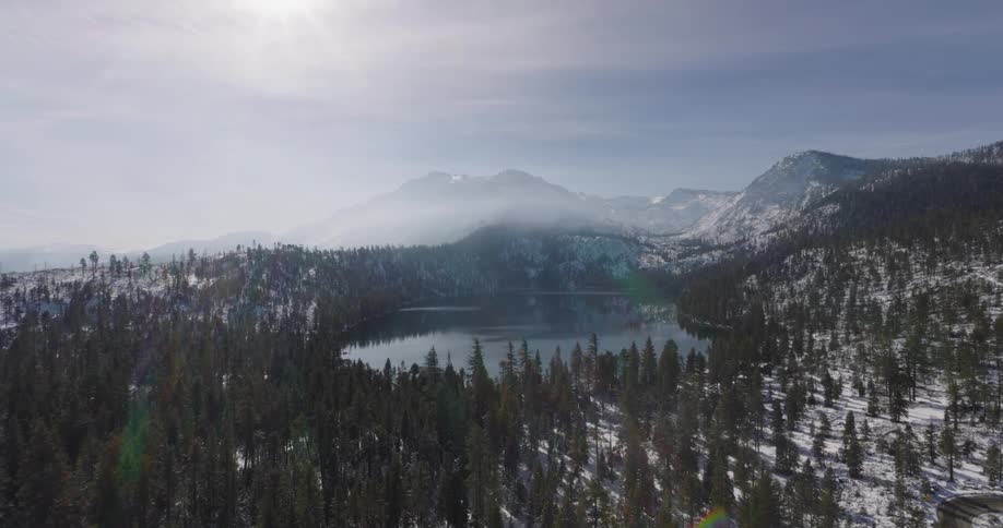 The forest leads to a lake by the mountains