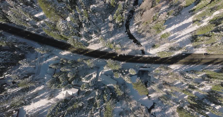 Aerial of a tarred road with trees on both sides at midday