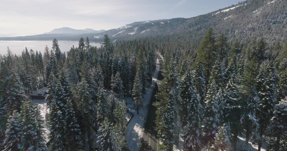 A road runs through a snow covered forest along the coast with mountains in the distance