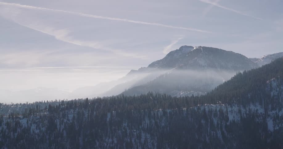 Aerial view of snow covered forest and mountains
