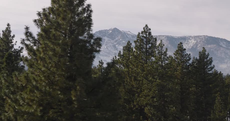 Panorama of a forest with a mountain range on the horizon