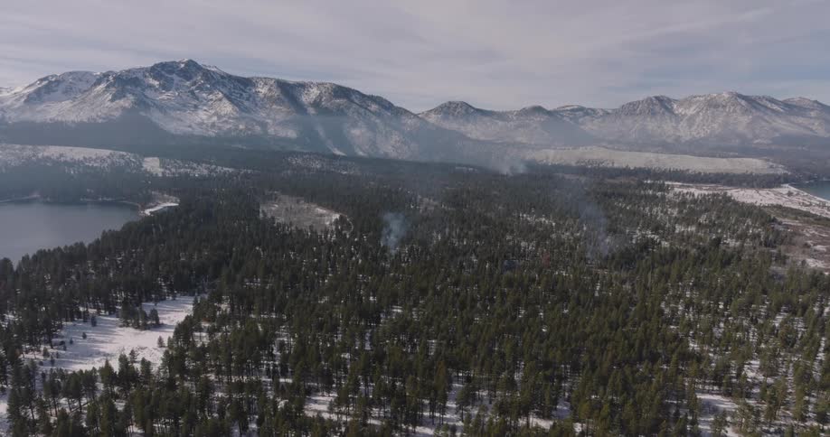 A large forest is before the mountains