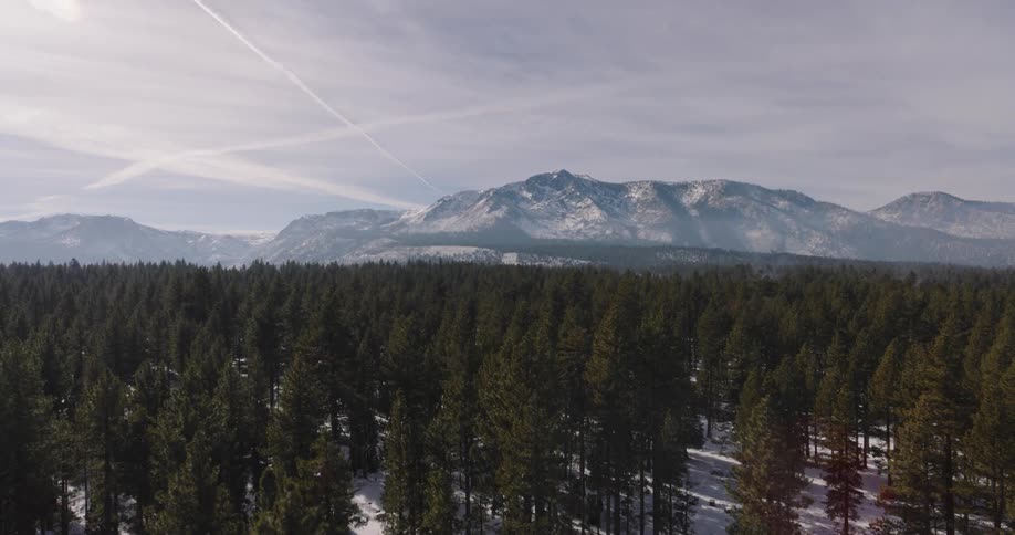 Panorama of a forest with the ground covered in snow and a mountain range on the horizon