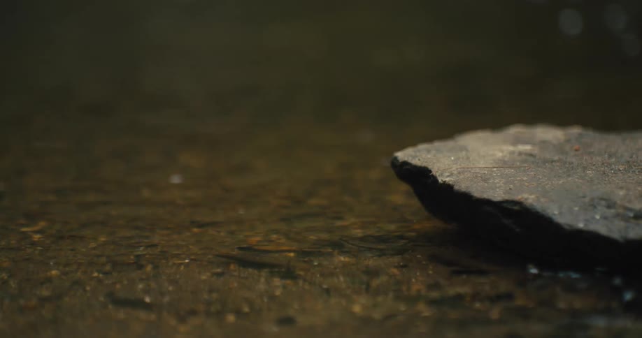 A small rock in a body of water in nature
