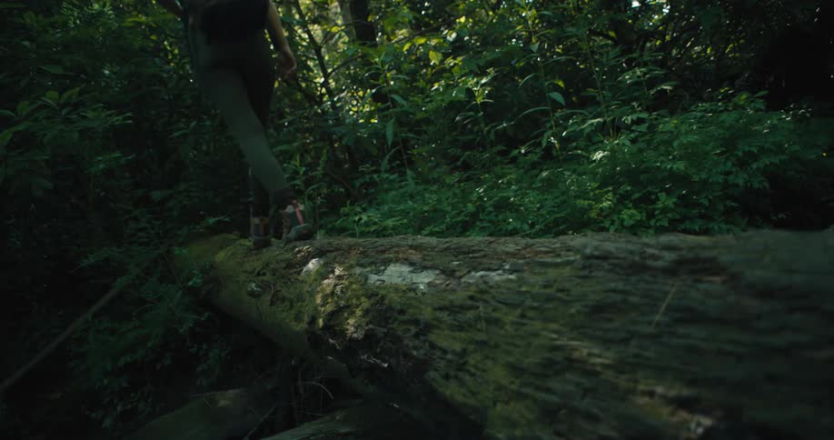 Close up of the feet of a person walking over a fallen tree in the forest