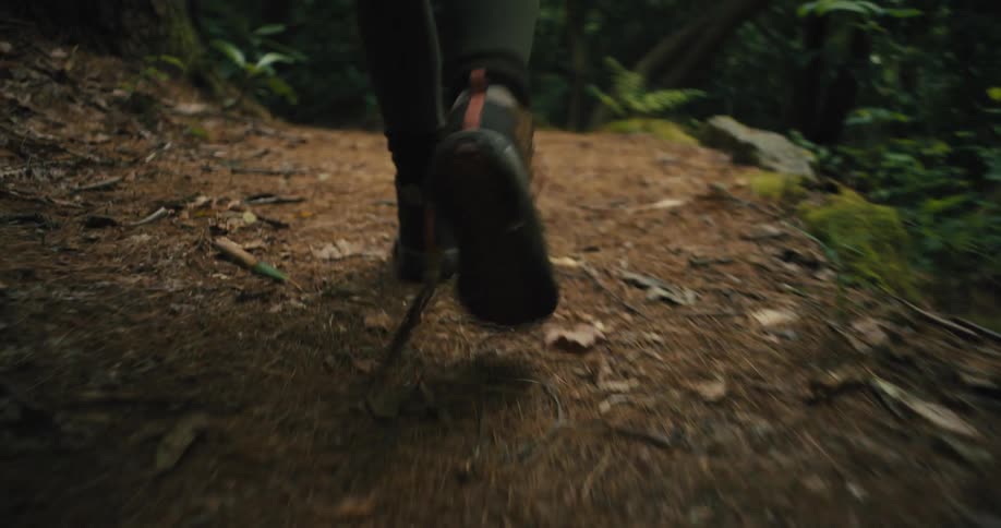 Close up of the foot of a person hiking in the woods