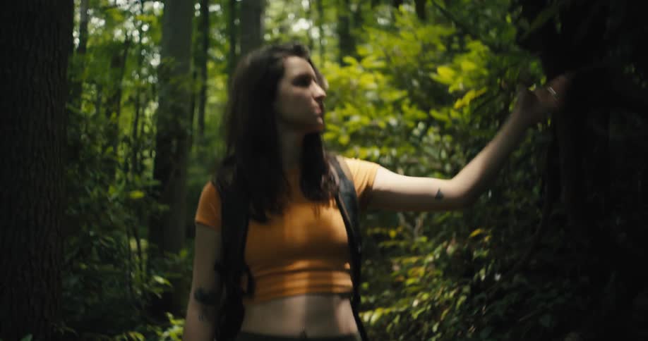 A young woman wearing a backpack is walking on a path through the forest looking at trees