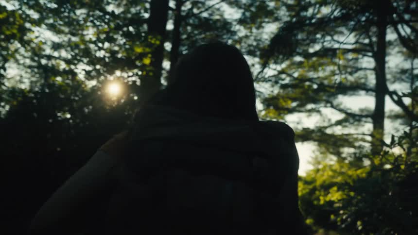 Silhouette of a woman walking through the forest
