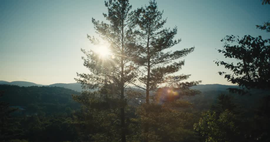 Trees move in the wind as the sun shines over mountains in the distance