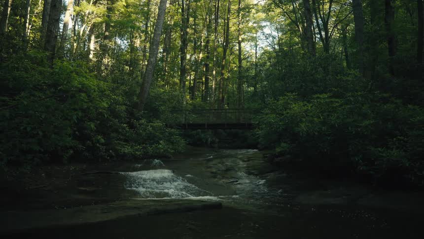 A wooden bridge in the forest over the river