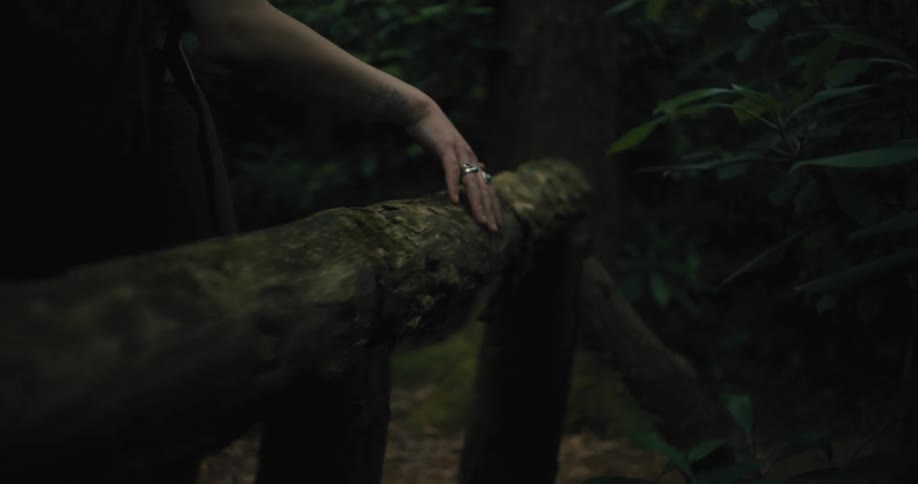 Young woman hiking on the forest