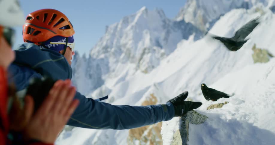 Two people watching birds on an ice mountain