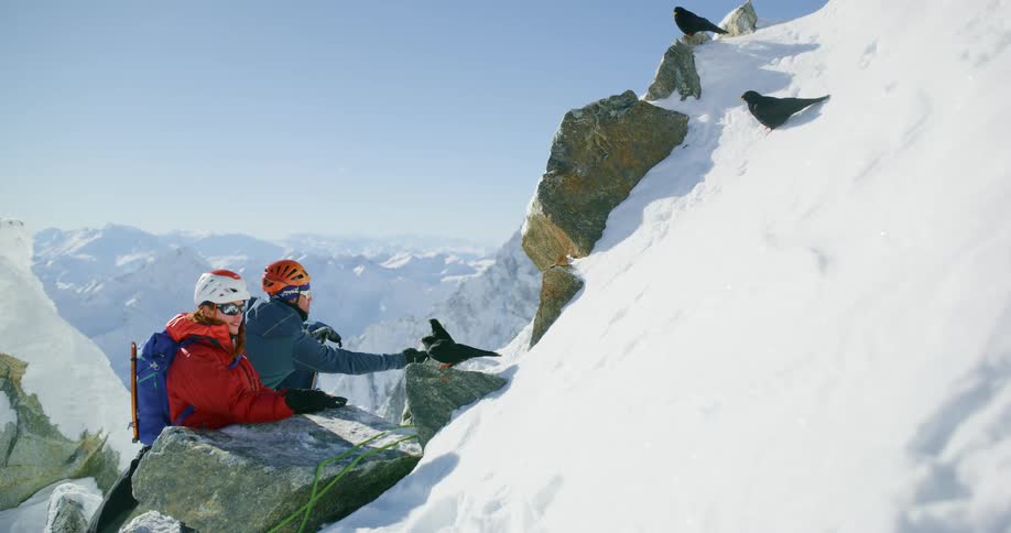 Two mountain climbers reach out to some birds