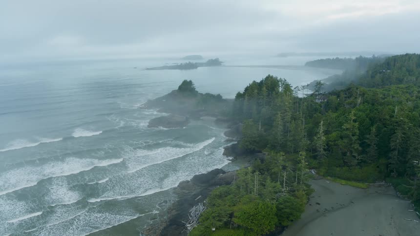 Waves roll onto beach near forested shore on a foggy overcast day