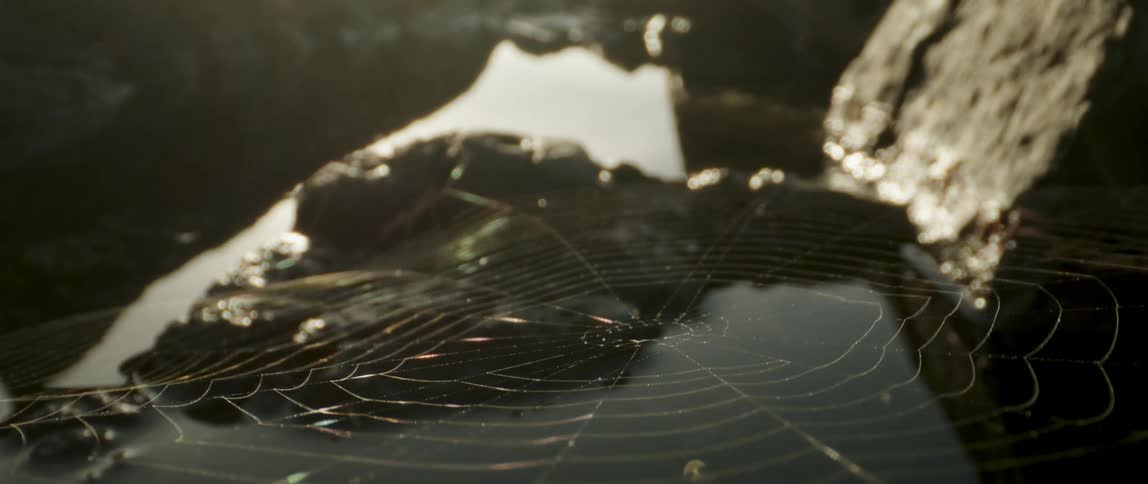 A spider web with patterns is hanging between some rocks