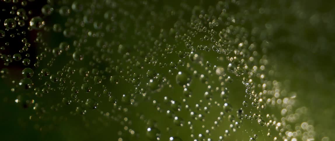 The bubbles of liquid move around