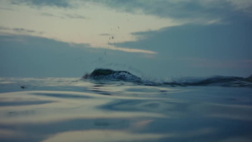 Person freestyle swimming in the ocean at sundown