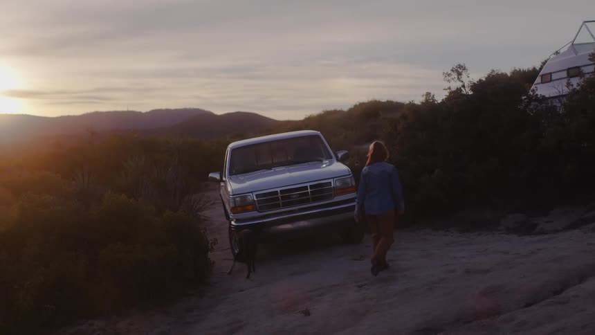 A woman and her dog walk over to the truck