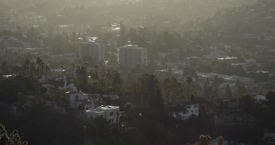 A hazy sky over palm trees and buildings