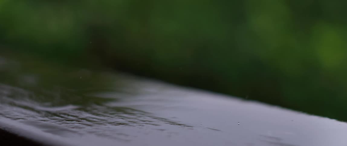 Rain is falling on the wood