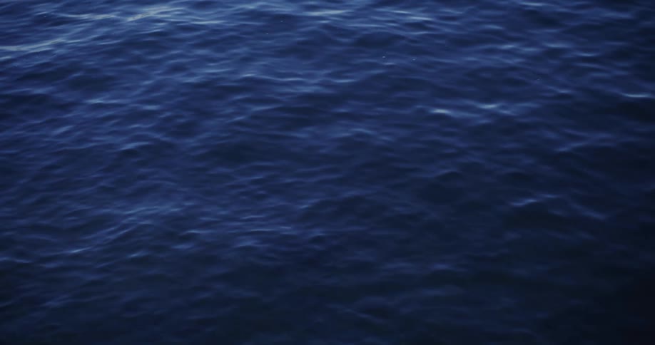 Waves and ripples on the surface of water