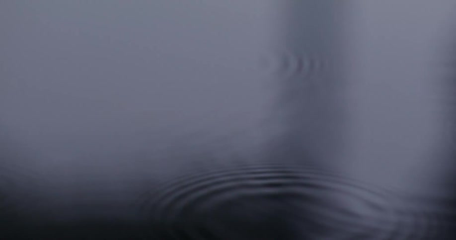 Rippling rings spread as rain falls into the water