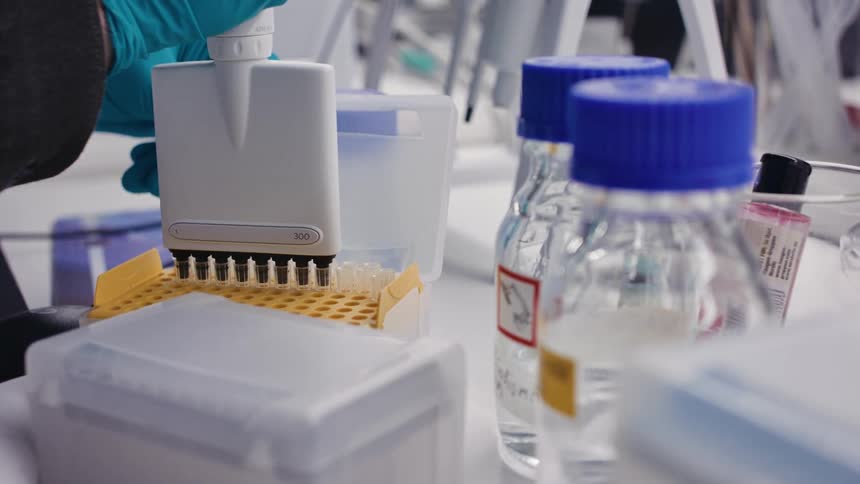 Gloved hands using a multichannel pipette to inject into a reservoir in a laboratory