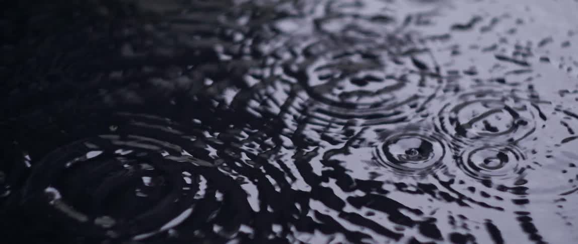 Rippling rings spread as rain falls into the water