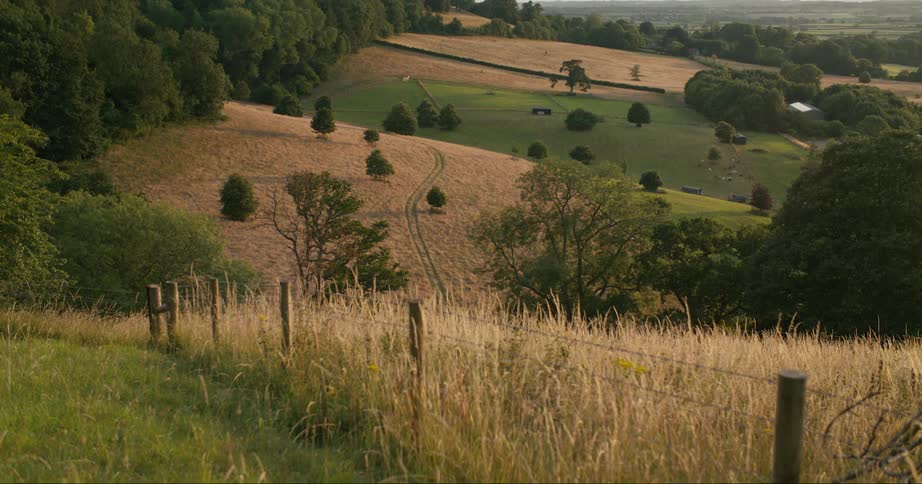 A simple barbed wire fence is located on a grassy hillside slope