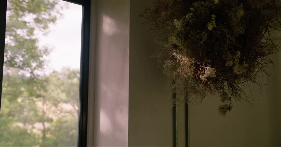 View from the window inside a house in daylight with a plant