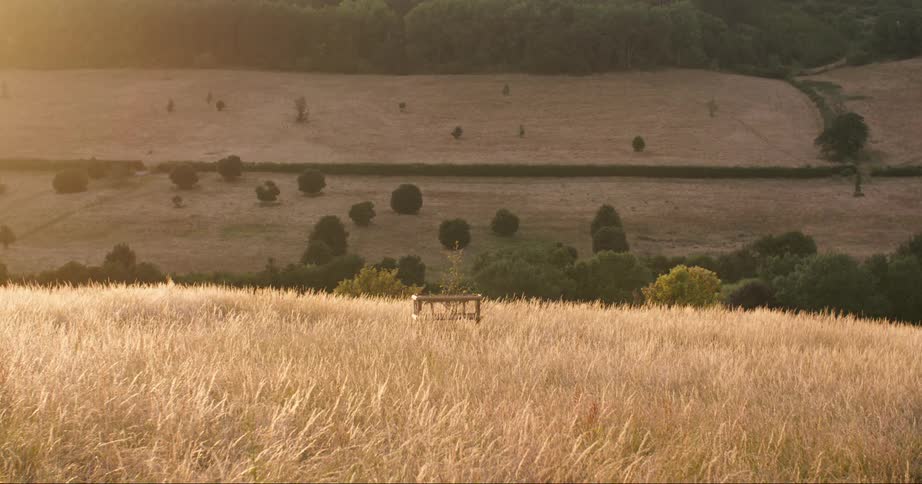 A table is in the middle of the field